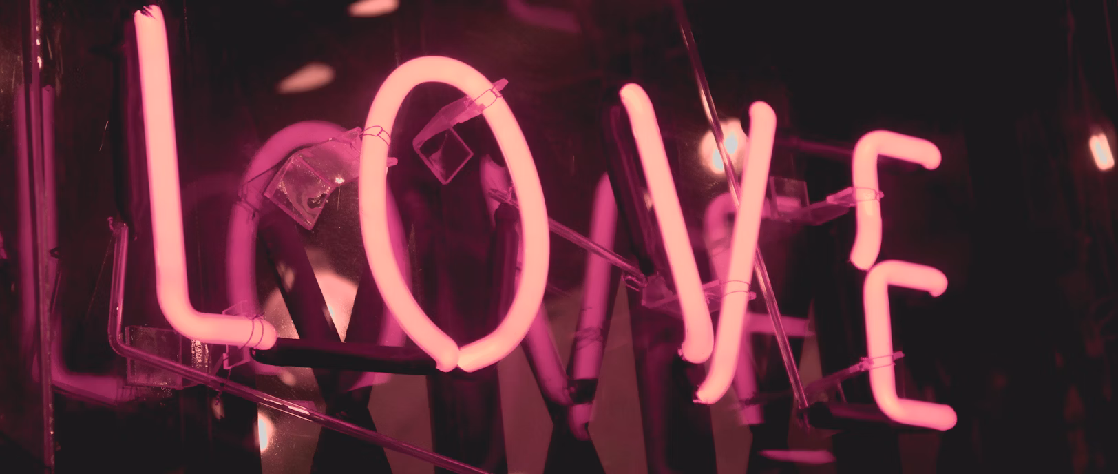 The Fur Baby Feud: A Story of Love, Division, and Custody