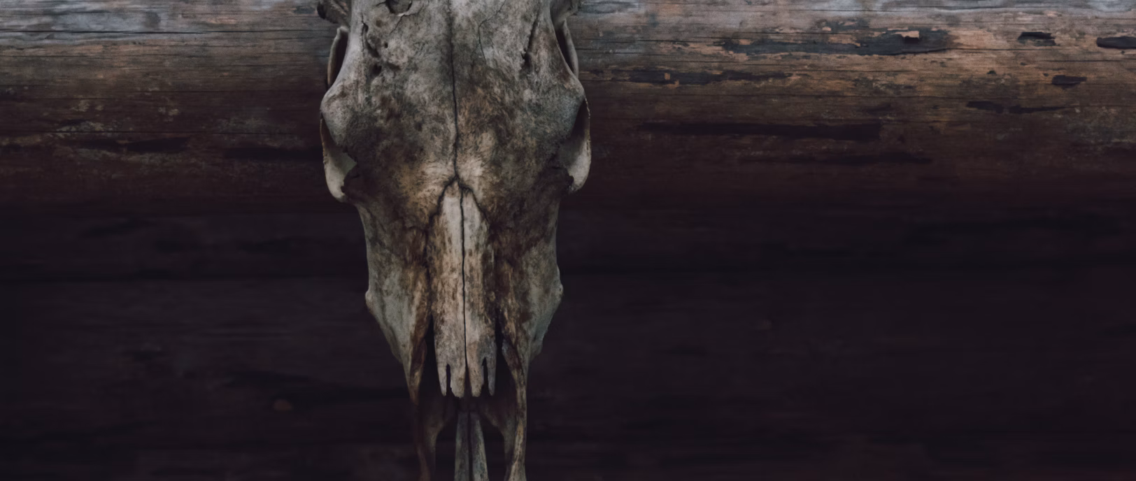 The Fallout of Infidelity: A Case Study of Jimmy, Susi, and Legal Protections