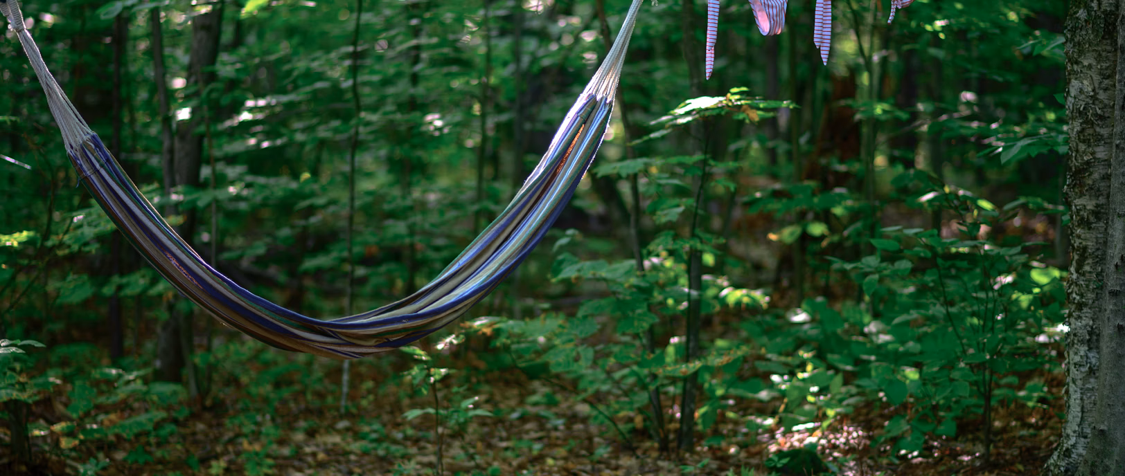 The Retirement Rift: A Story of Marriage, Assets, and Disputes