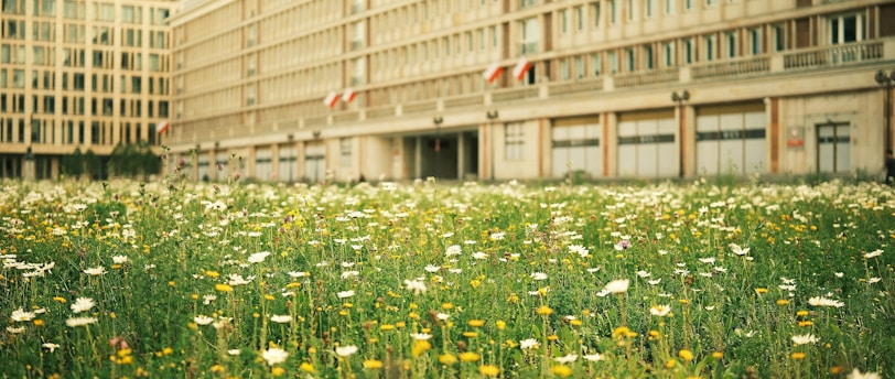 Post-Christmas Return Legal Tips: How to Get Refunds for Your Unwanted Gifts